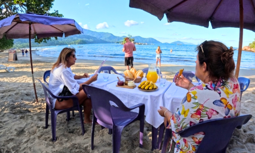 Praia dos Castelhanos Ilhabela (1)