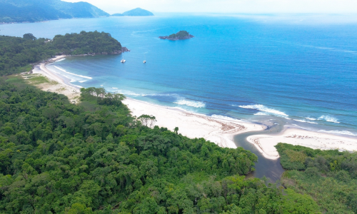 Praia dos Castelhanos Ilhabela (3)