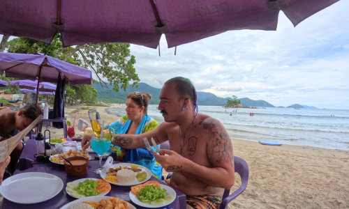 Praia dos Castelhanos Ilhabela (4)